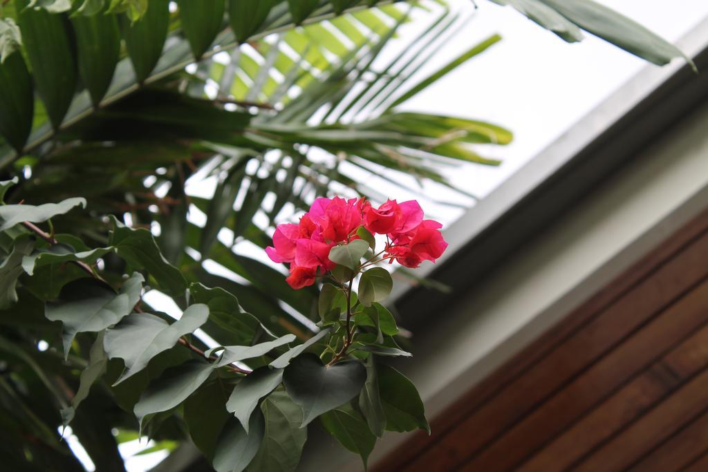 Hostal Cocos Inn Панама Экстерьер фото